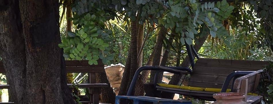 Il giardino del circolo: alberi, panche in legno e un dondolo all'ombra